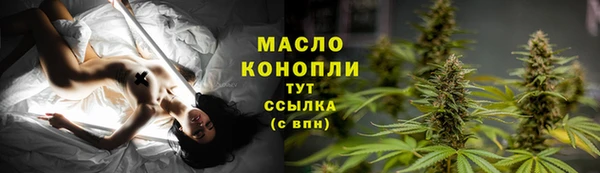 соль ск Бородино