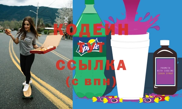 соль ск Бородино