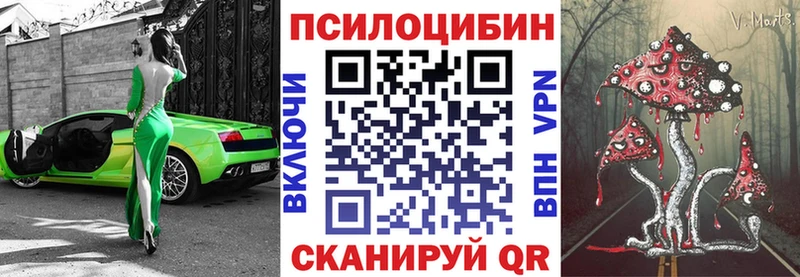 Псилоцибиновые грибы Psilocybe  Эртиль 