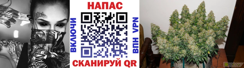 МАРИХУАНА Bruce Banner  KRAKEN как зайти  Эртиль 